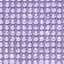 ROYAL LILAC