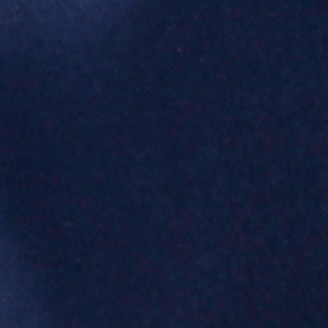 NEW NAVY