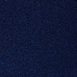 NEW NAVY