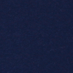 NEW NAVY