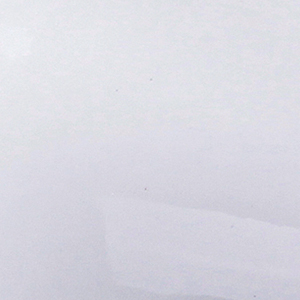 WHITE PATENT