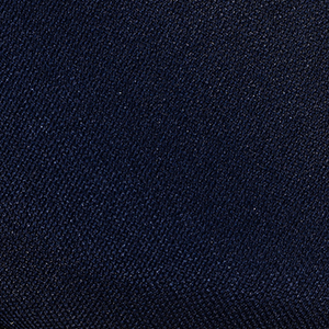 NEW NAVY