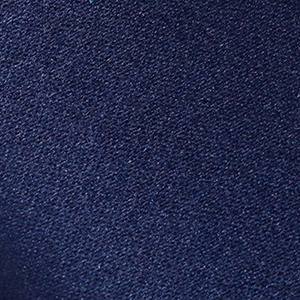 NEW NAVY