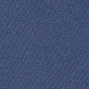 NEW NAVY