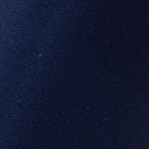 NEW NAVY